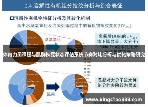 体育力量课程与肌群恢复状态评估系统节奏对比分析与优化策略研究