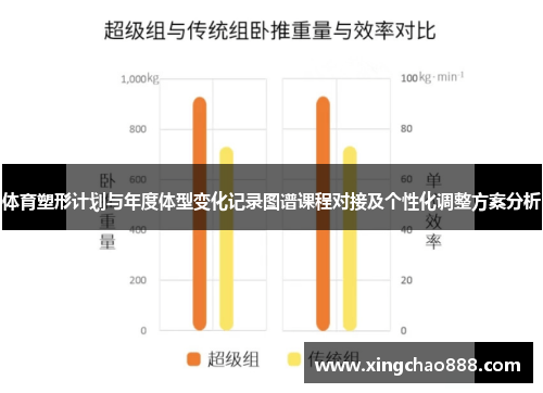体育塑形计划与年度体型变化记录图谱课程对接及个性化调整方案分析