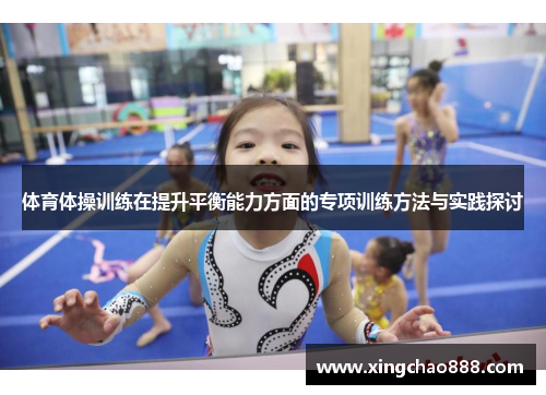 体育体操训练在提升平衡能力方面的专项训练方法与实践探讨