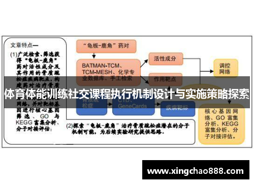 体育体能训练社交课程执行机制设计与实施策略探索