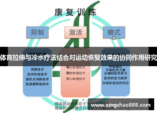 体育拉伸与冷水疗法结合对运动恢复效果的协同作用研究